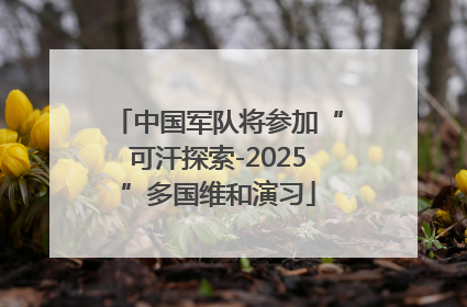 中国军队将参加“可汗探索-2025”多国维和演习