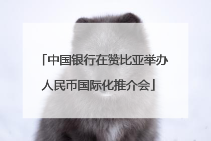 中国银行在赞比亚举办人民币国际化推介会