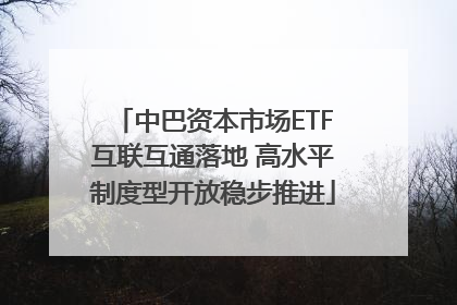 中巴资本市场ETF互联互通落地 高水平制度型开放稳步推进