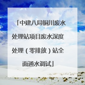 中建八局铜川废水处理站项目废水深度处理（零排放）站全面通水调试