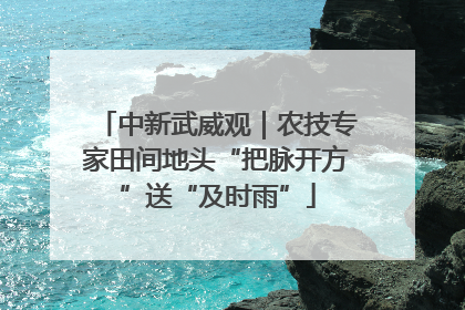 中新武威观｜农技专家田间地头“把脉开方”送“及时雨”