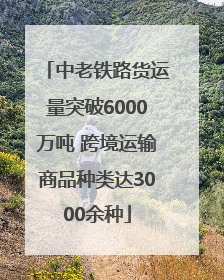 中老铁路货运量突破6000万吨 跨境运输商品种类达3000余种