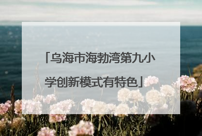 乌海市海勃湾第九小学创新模式有特色