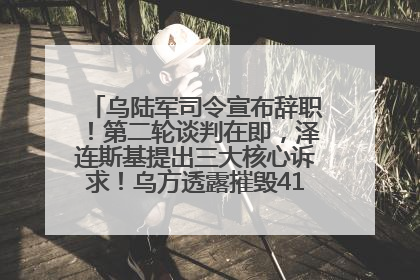 乌陆军司令宣布辞职！第二轮谈判在即，泽连斯基提出三大核心诉求！乌方透露摧毁41架俄战略轰炸机