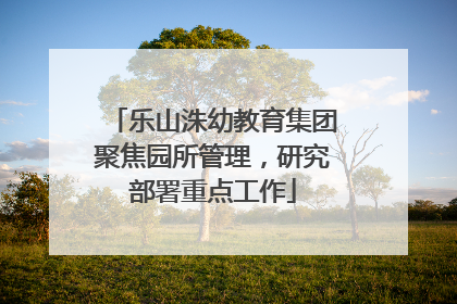 乐山洙幼教育集团聚焦园所管理，研究部署重点工作