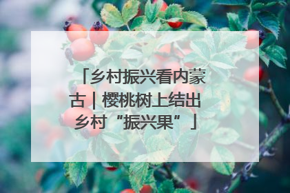 乡村振兴看内蒙古｜樱桃树上结出乡村“振兴果”