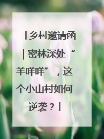 乡村邀请函｜密林深处“羊咩咩”，这个小山村如何逆袭？