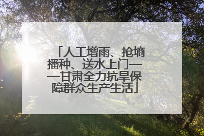 人工增雨、抢墒播种、送水上门——甘肃全力抗旱保障群众生产生活
