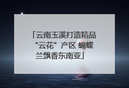 云南玉溪打造精品“云花”产区 蝴蝶兰飘香东南亚