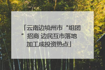 云南边境州市“组团”招商 边民互市落地加工成投资热点
