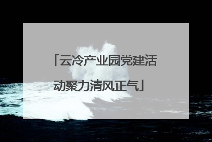 云冷产业园党建活动聚力清风正气