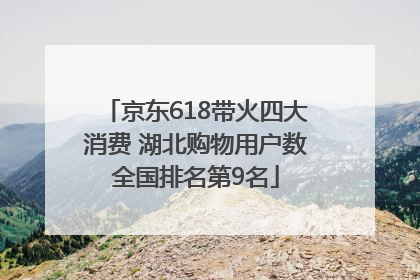 京东618带火四大消费 湖北购物用户数全国排名第9名