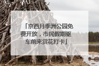 京西月季洲公园免费开放，市民假期驱车前来赏花打卡