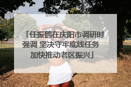 任振鹤在庆阳市调研时强调 坚决守牢底线任务 加快推动老区振兴