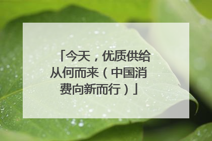今天，优质供给从何而来（中国消费向新而行）