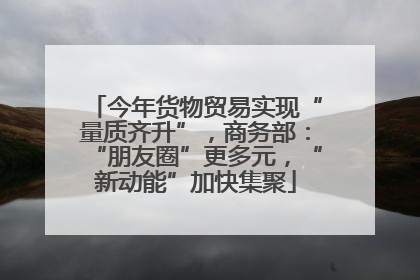 今年货物贸易实现“量质齐升”，商务部：“朋友圈”更多元，“新动能”加快集聚