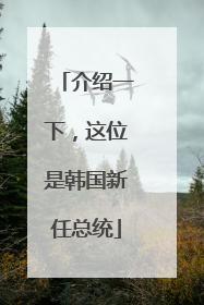 介绍一下，这位是韩国新任总统