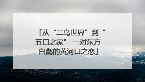 从“二鸟世界”到“五口之家” 一对东方白鹳的黄河口之恋