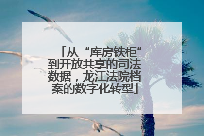 从“库房铁柜”到开放共享的司法数据，龙江法院档案的数字化转型