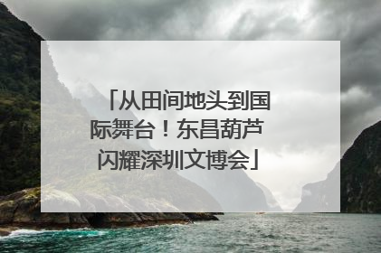 从田间地头到国际舞台！东昌葫芦闪耀深圳文博会
