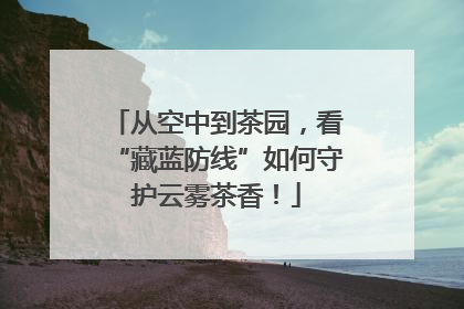 从空中到茶园，看“藏蓝防线”如何守护云雾茶香！