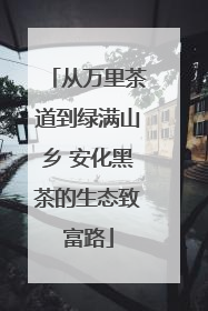 从万里茶道到绿满山乡 安化黑茶的生态致富路