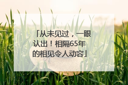 从未见过，一眼认出！相隔65年的相见令人动容