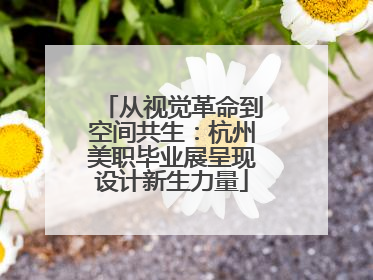 从视觉革命到空间共生：杭州美职毕业展呈现设计新生力量