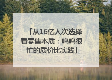 从16亿人次选择看零售本质：鸣鸣很忙的质价比实践