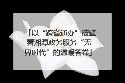 以“跨省通办”破壁 看湘潭政务服务“无界时代”的温暖答卷