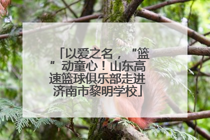 以爱之名，“篮”动童心！山东高速篮球俱乐部走进济南市黎明学校