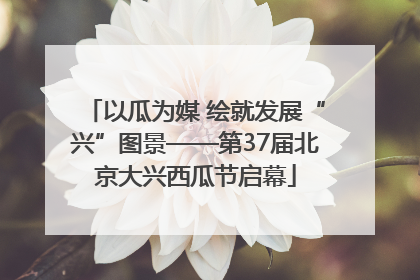 以瓜为媒 绘就发展“兴”图景——第37届北京大兴西瓜节启幕