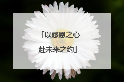 以感恩之心 赴未来之约