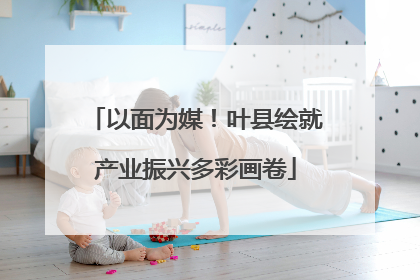 以面为媒！叶县绘就产业振兴多彩画卷