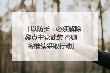 以防长：必须解除黎真主党武装 否则将继续采取行动
