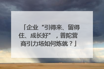 企业“引得来、留得住、成长好”，普陀营商引力场如何炼就？