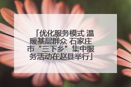 优化服务模式 温暖基层群众 石家庄市“三下乡”集中服务活动在赵县举行