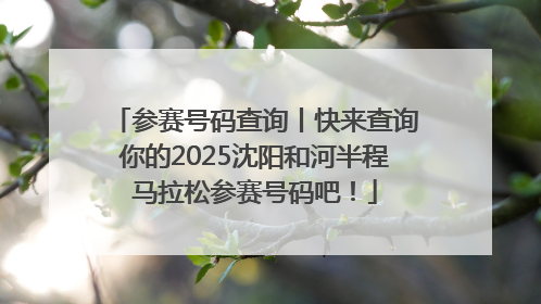 参赛号码查询丨快来查询你的2025沈阳和河半程马拉松参赛号码吧！