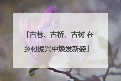 古巷、古桥、古树 在乡村振兴中焕发新姿