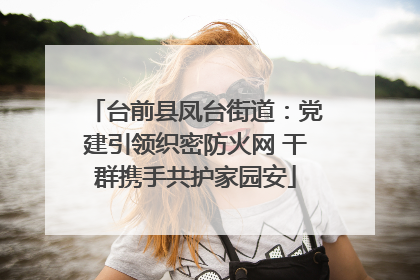 台前县凤台街道：党建引领织密防火网 干群携手共护家园安