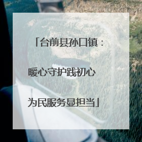 台前县孙口镇：暖心守护践初心 为民服务显担当