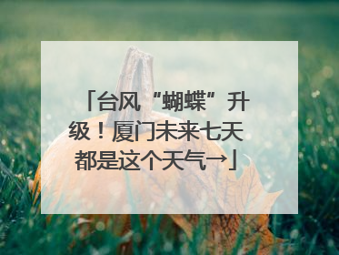 台风“蝴蝶”升级！厦门未来七天都是这个天气→