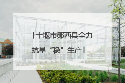 十堰市郧西县全力抗旱“稳”生产