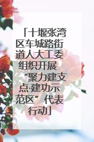十堰张湾区车城路街道人大工委组织开展 “聚力建支点·建功示范区”代表行动