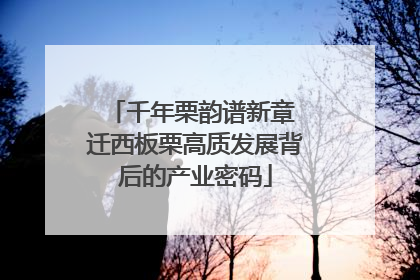 千年栗韵谱新章 迁西板栗高质发展背后的产业密码