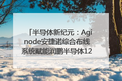 半导体新纪元：Aginode安捷诺综合布线系统赋能润鹏半导体12英寸集成电路生产线，携手共筑“芯”未来！
