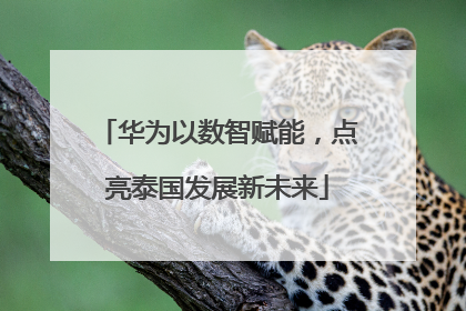 华为以数智赋能，点亮泰国发展新未来