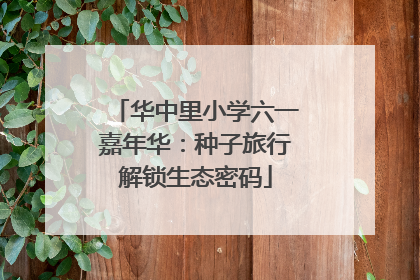 华中里小学六一嘉年华：种子旅行解锁生态密码