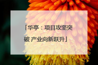 华亭：项目攻坚突破 产业向新跃升