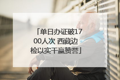单日办证破1700人次 西藏边检以实干赢赞誉
